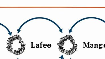 The Importance of Life Cycle Data Management